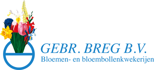 -original_Logo-Gebr-Breg